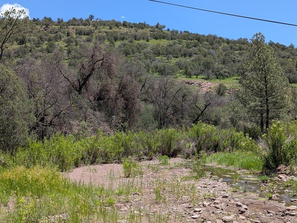 5.63 acres in Jeff Davis County - photo 18