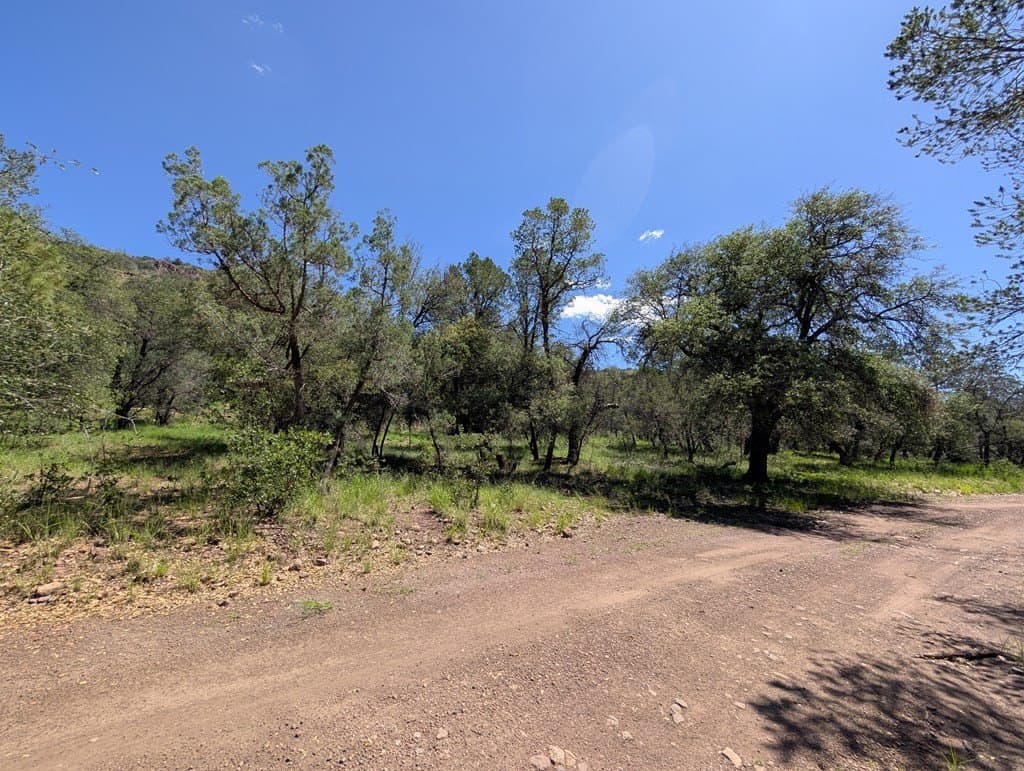5.63 acres in Jeff Davis County - photo 19