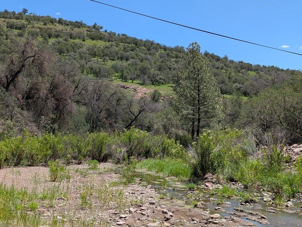 5.63 acres in Jeff Davis County - photo 20