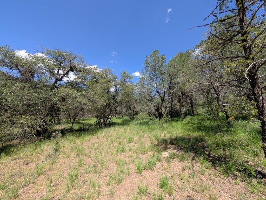 5.63 acres in Jeff Davis County - photo 7