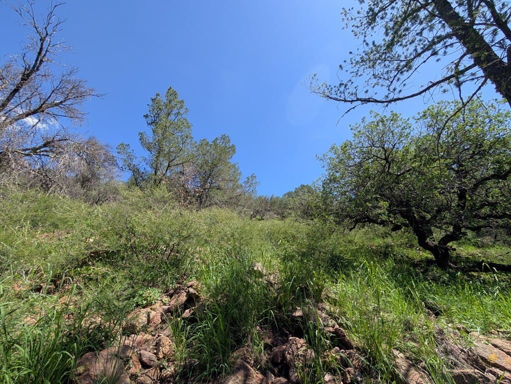 5.63 acres in Jeff Davis County - photo 8