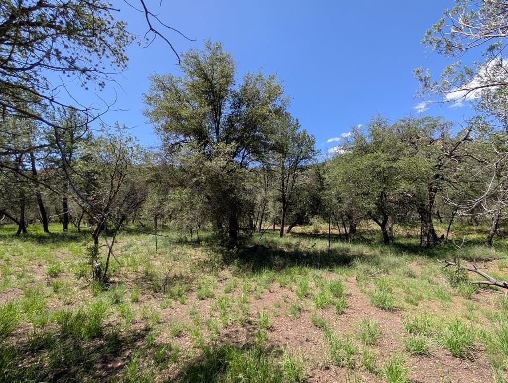 5.63 acres in Jeff Davis County - photo 2