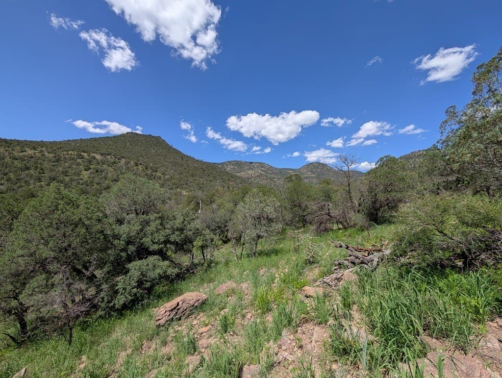 5.63 acres in Jeff Davis County - photo 14