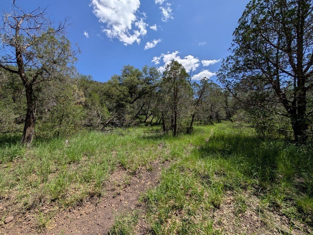 5.63 acres in Jeff Davis County - photo 15