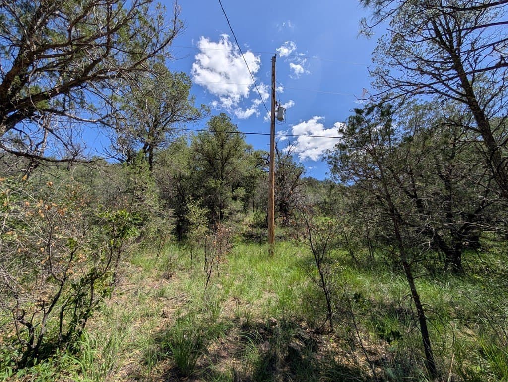 5.63 acres in Jeff Davis County - photo 16