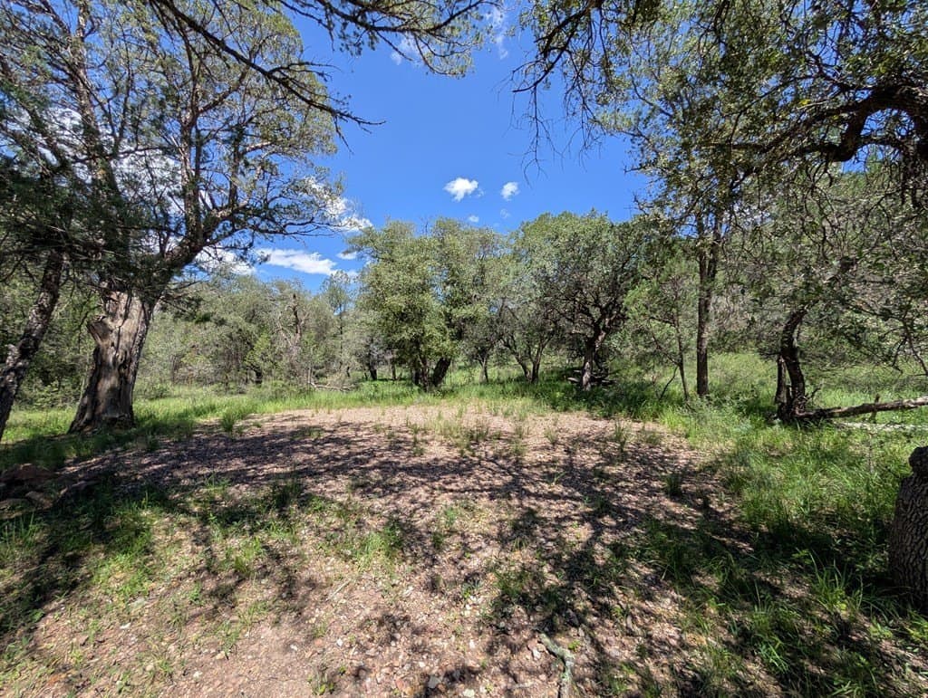 5.63 acres in Jeff Davis County - photo 9