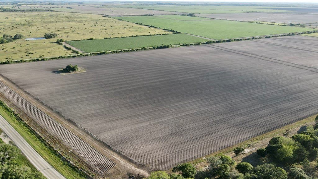 10 acres in Texas County - photo 5