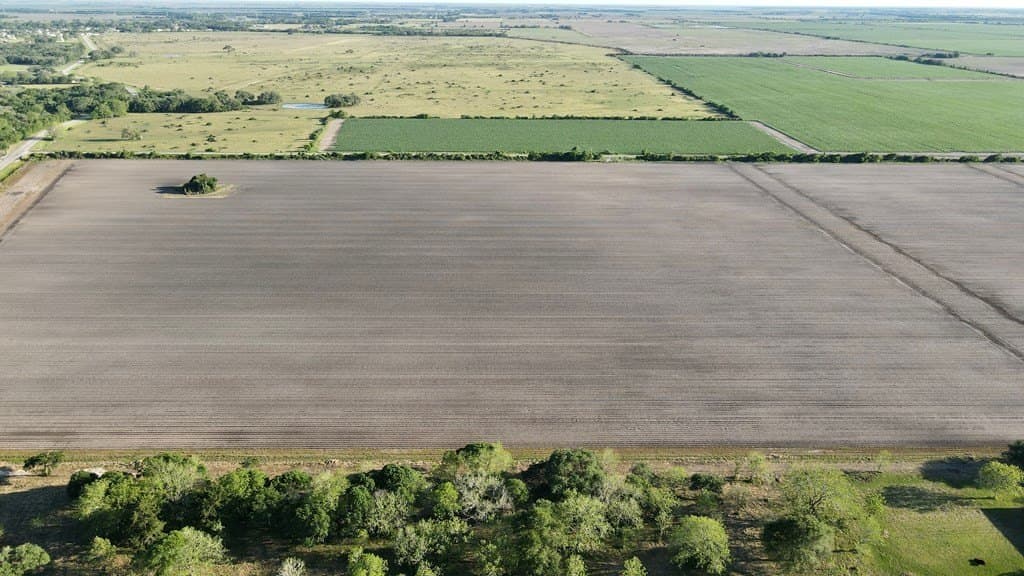 10 acres in Texas County - photo 6