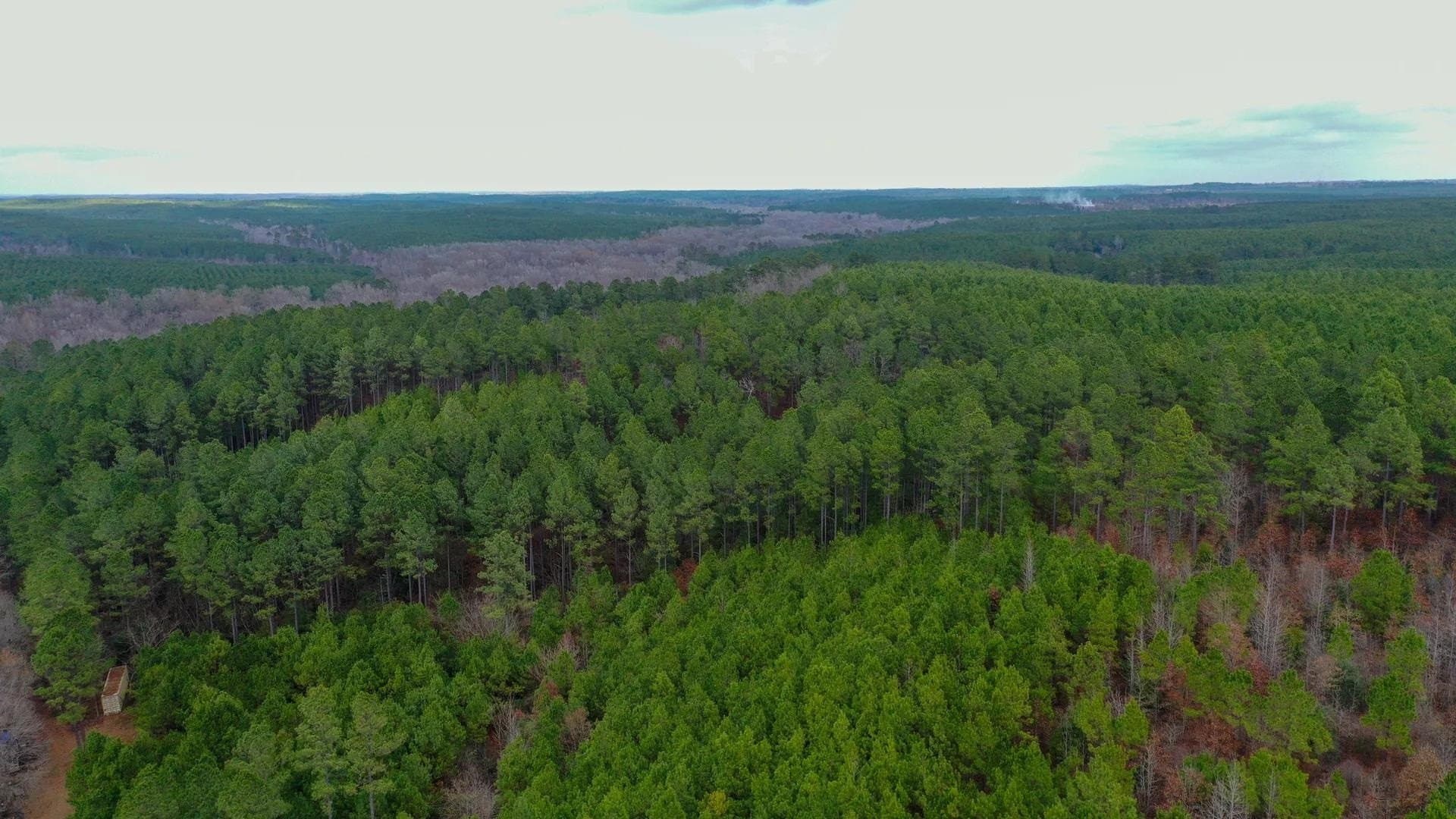 204.5 acres in Cass County - photo 2