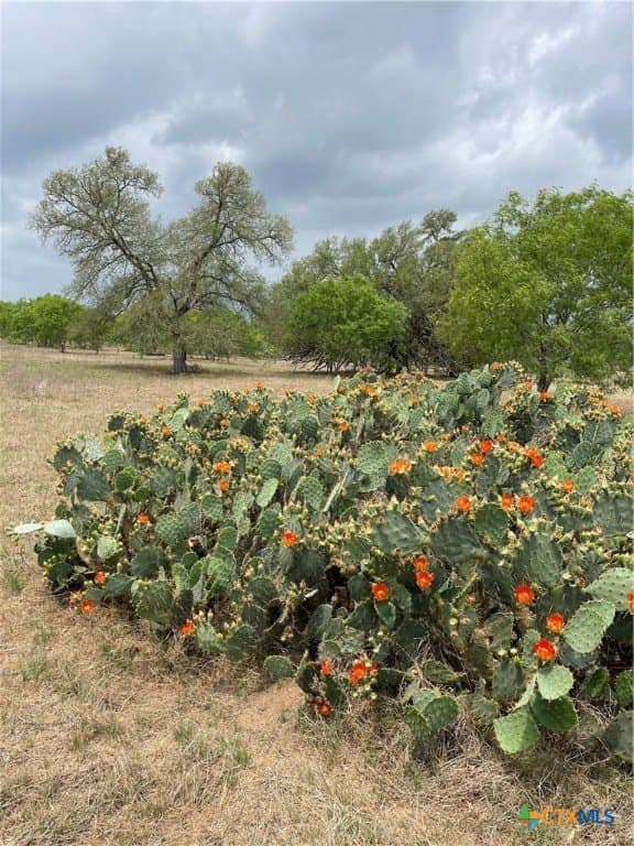 12.9 acres in Guadalupe County - photo 3