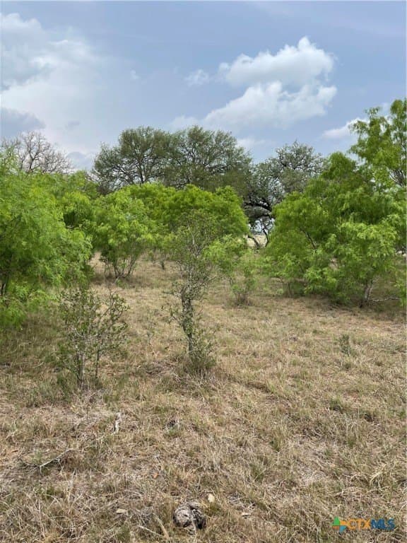 12.9 acres in Guadalupe County - photo 2