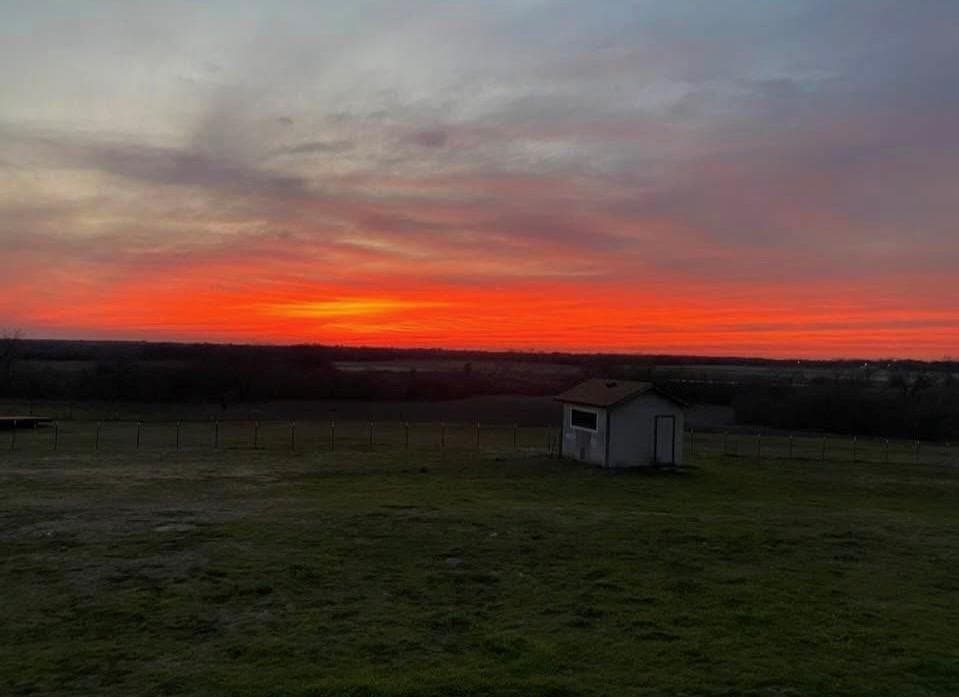 12.06 acres in Hill County - photo 38