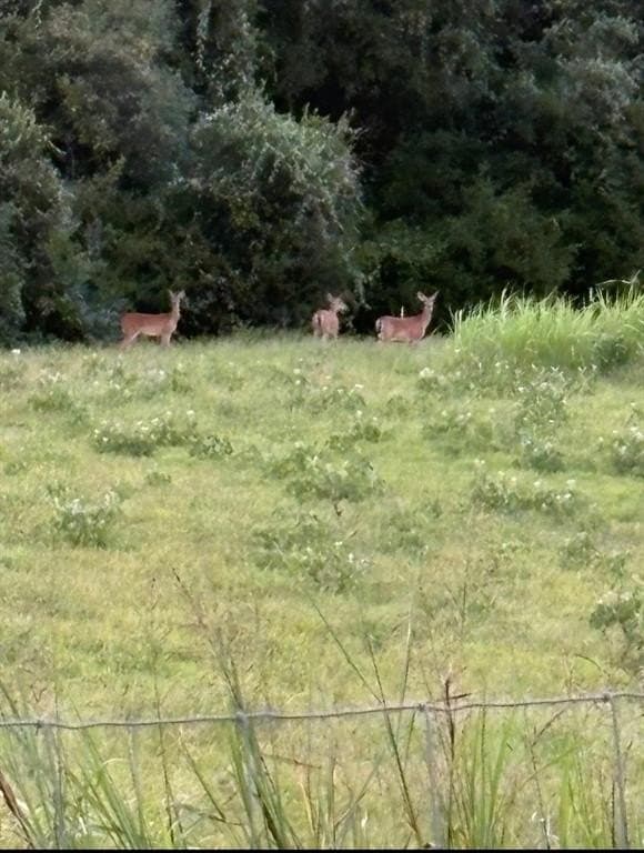 12.06 acres in Hill County - photo 40