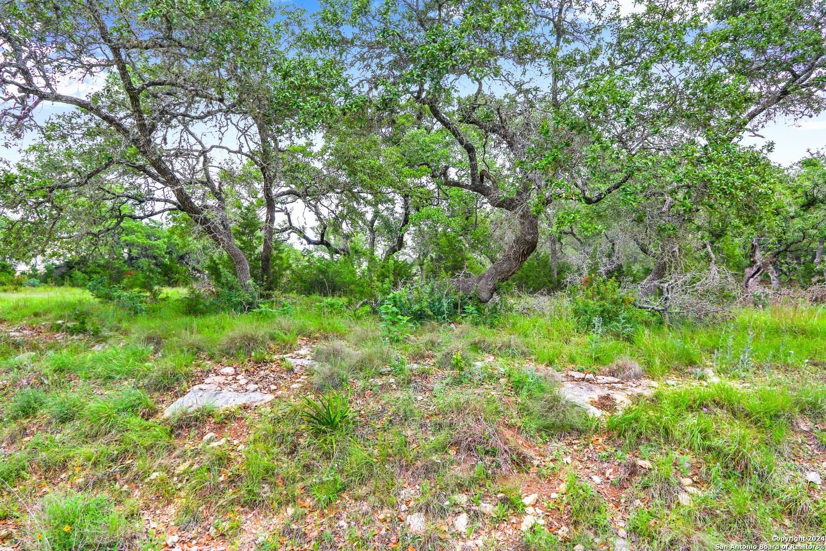 1.89 acres in Comal County - photo 29