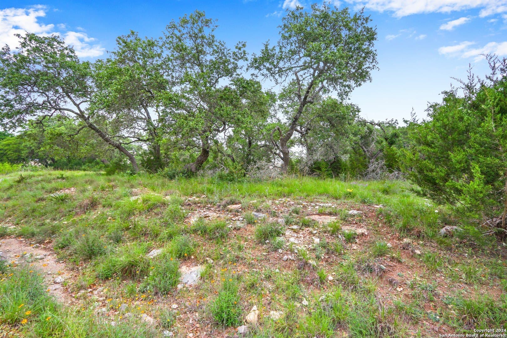 1.89 acres in Comal County - photo 30