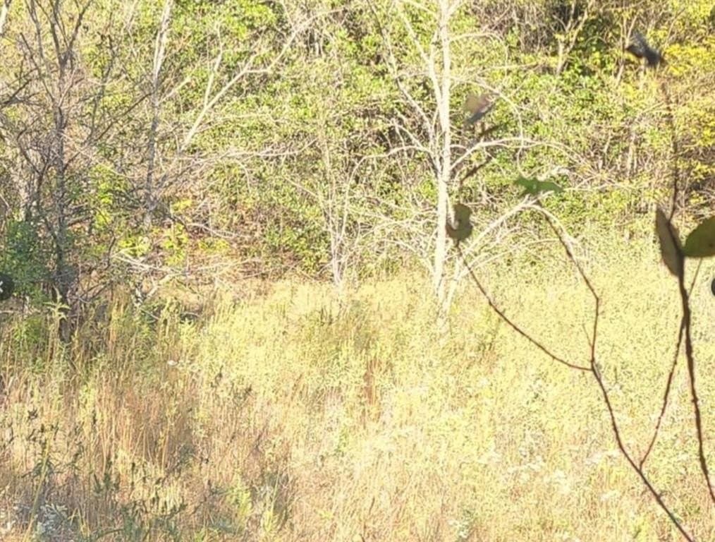 13.63 acres in Hopkins County - photo 3