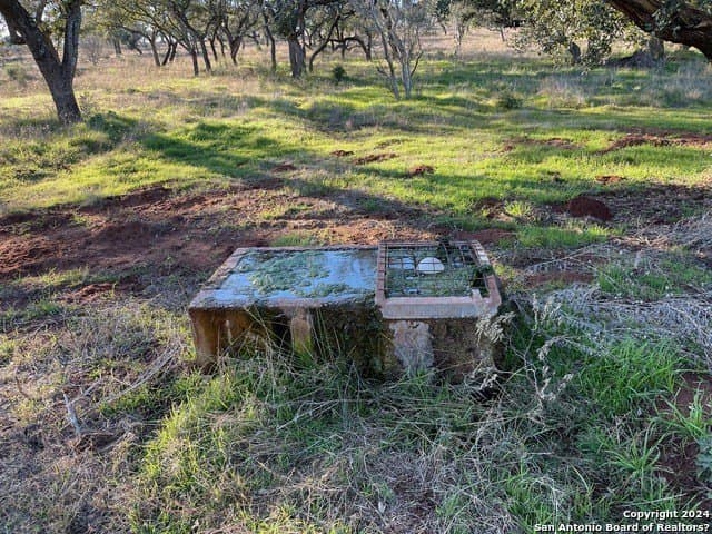 46.06 acres in Mason Co County - photo 9