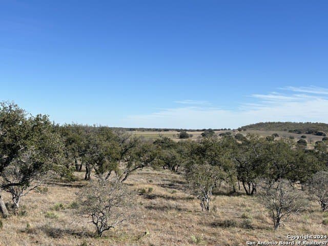 46.06 acres in Mason Co County - photo 21