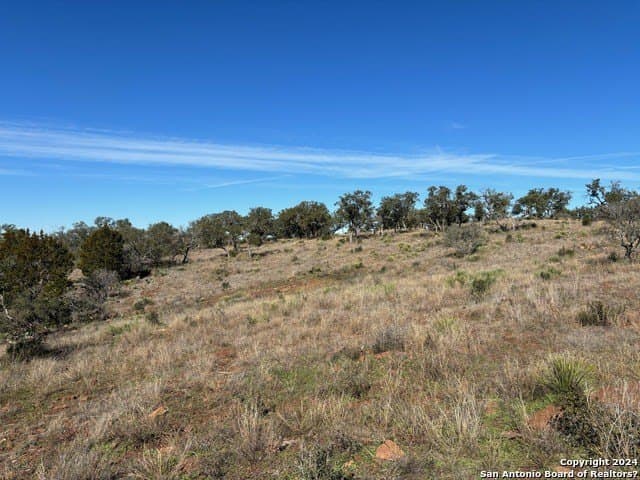 46.06 acres in Mason Co County - photo 12