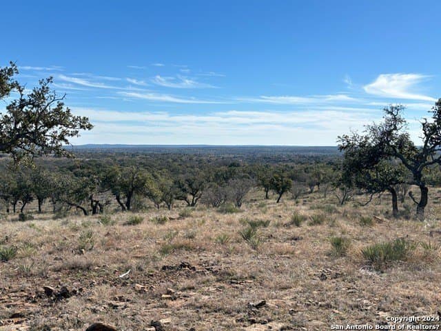 46.06 acres in Mason Co County - photo 11