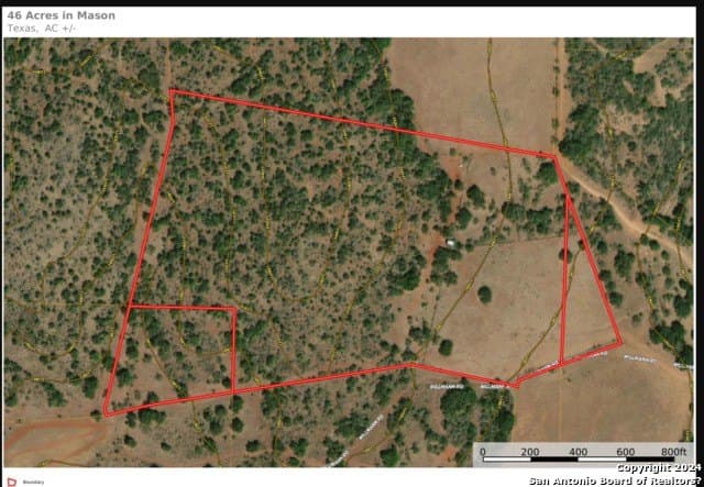 46.06 acres in Mason Co County - photo 22