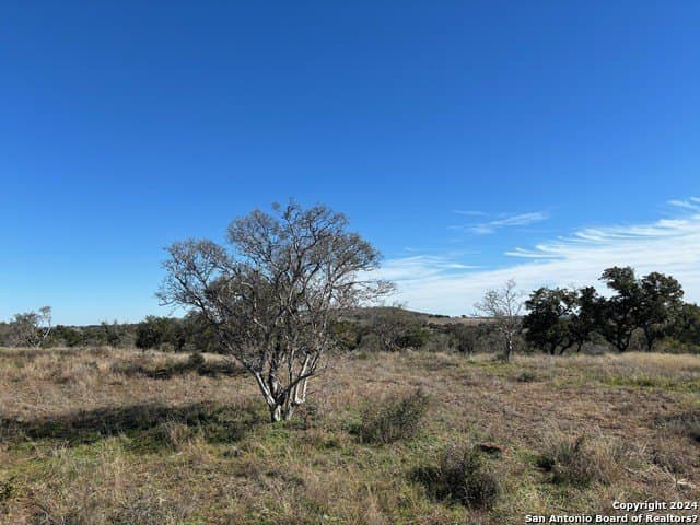 46.06 acres in Mason Co County - photo 5