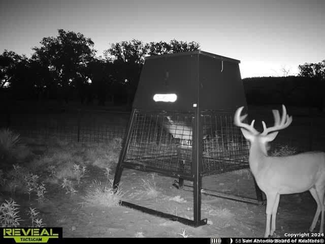 46.06 acres in Mason Co County - photo 19