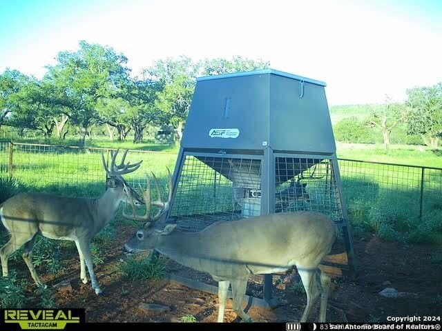 46.06 acres in Mason Co County - photo 18