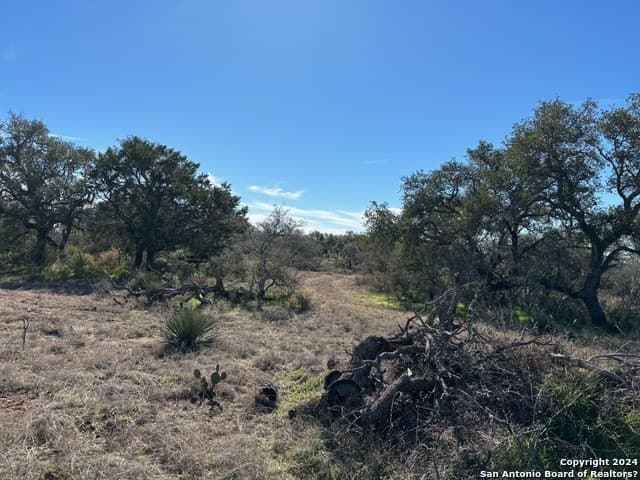 46.06 acres in Mason Co County - photo 20