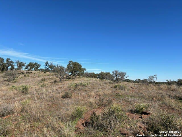 46.06 acres in Mason Co County - photo 13