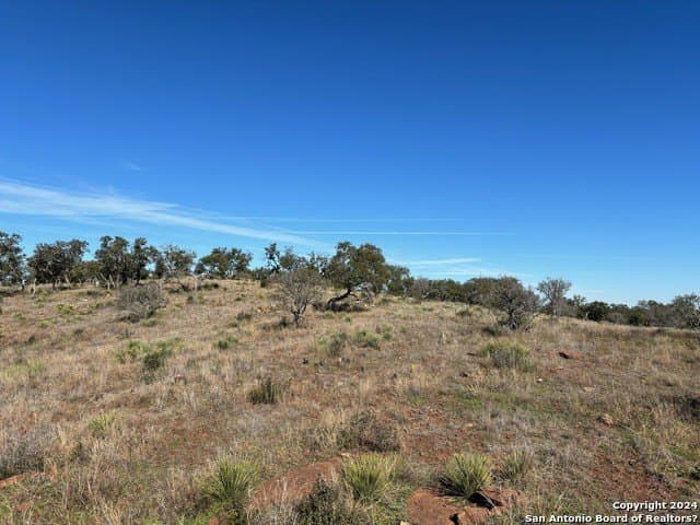 46.06 acres in Mason Co County - photo 6