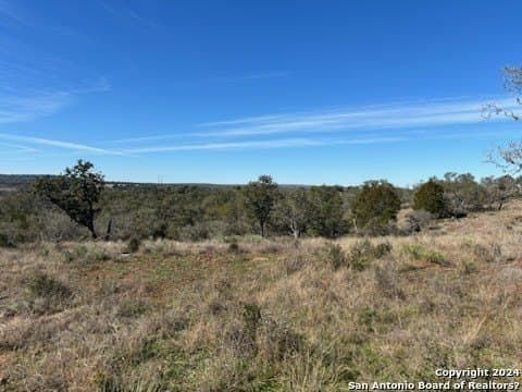 46.06 acres in Mason Co County - photo 4