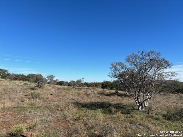 46.06 acres in Mason Co County - photo 7