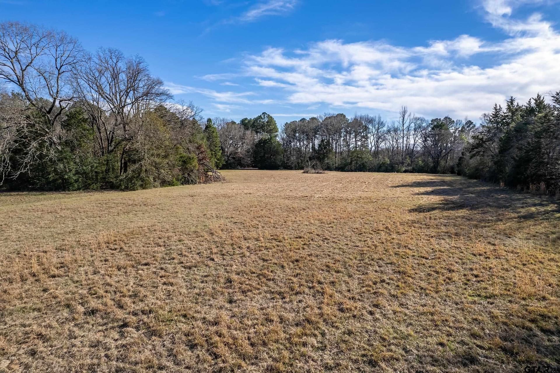 10.17 acres in Henderson County - photo 36