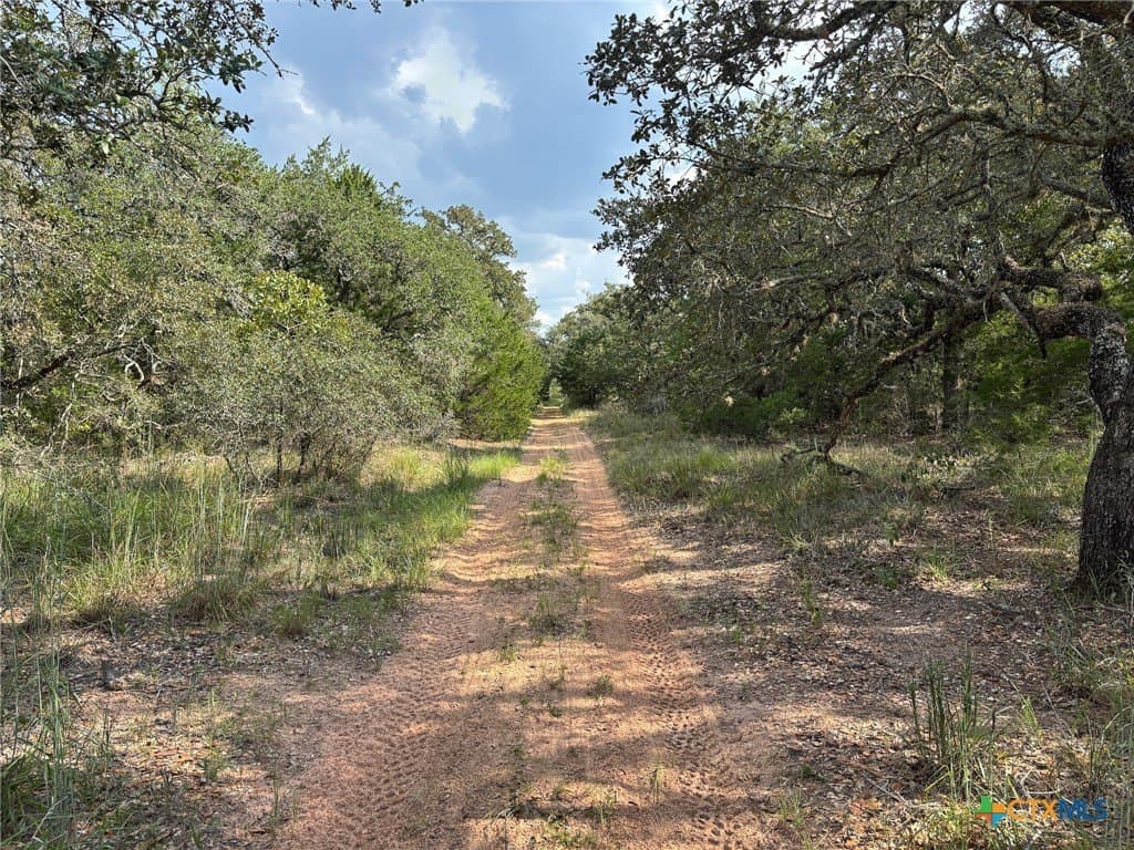 22 acres in Lavaca County - photo 32