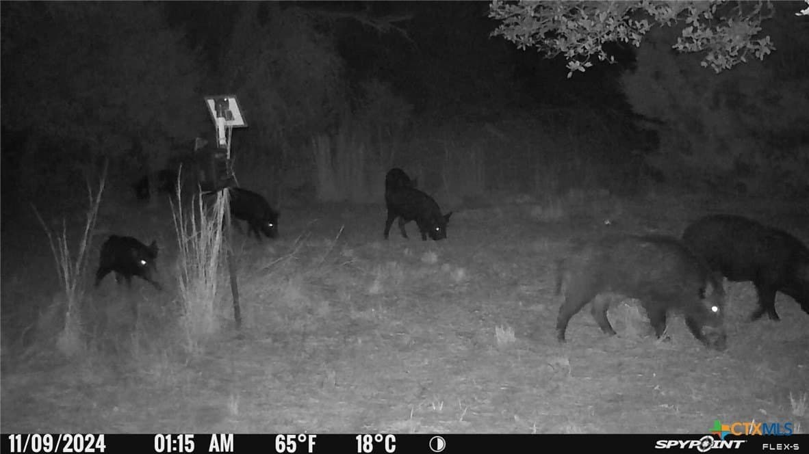 22 acres in Lavaca County - photo 31
