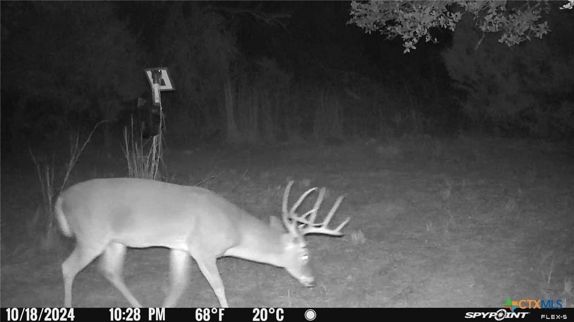 22 acres in Lavaca County - photo 30