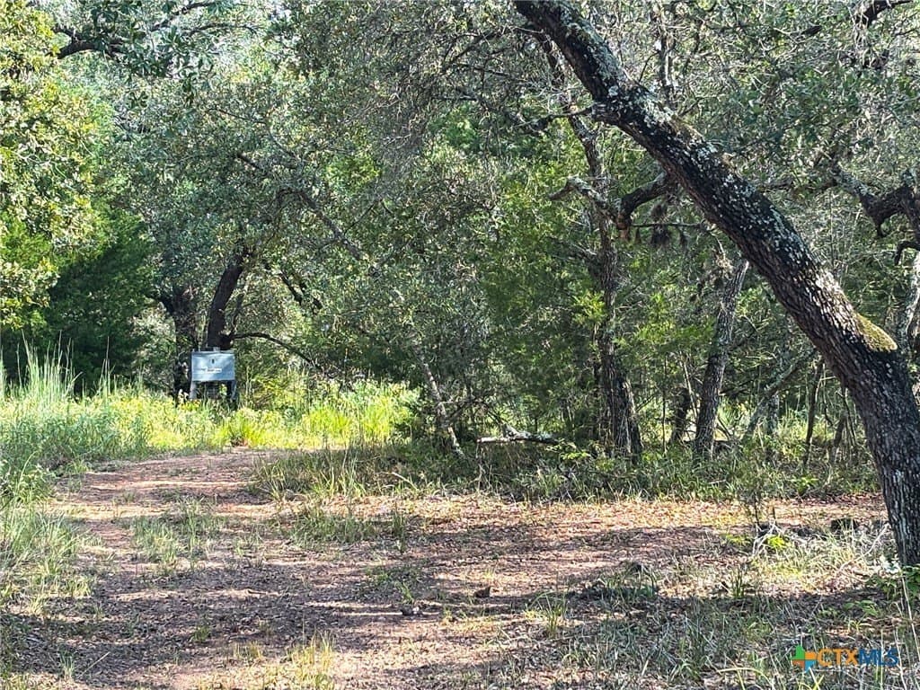 22 acres in Lavaca County - photo 37