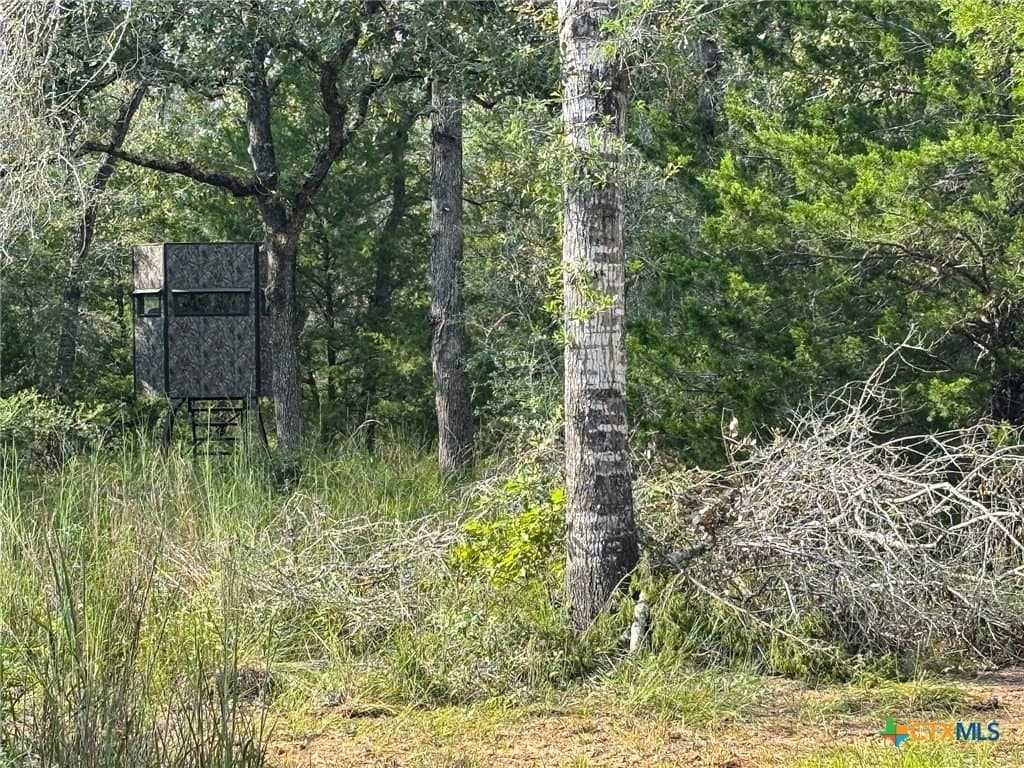 22 acres in Lavaca County - photo 38