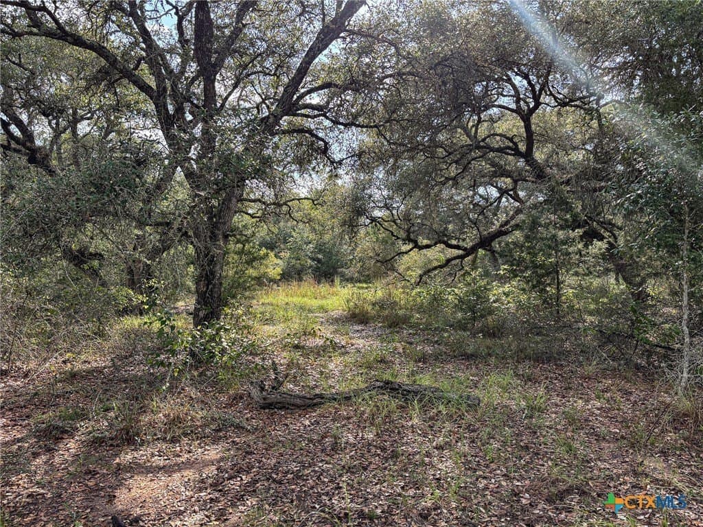22 acres in Lavaca County - photo 34