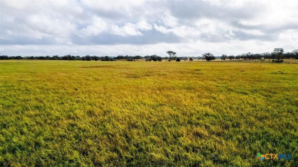 11 acres in Caldwell County - photo 5