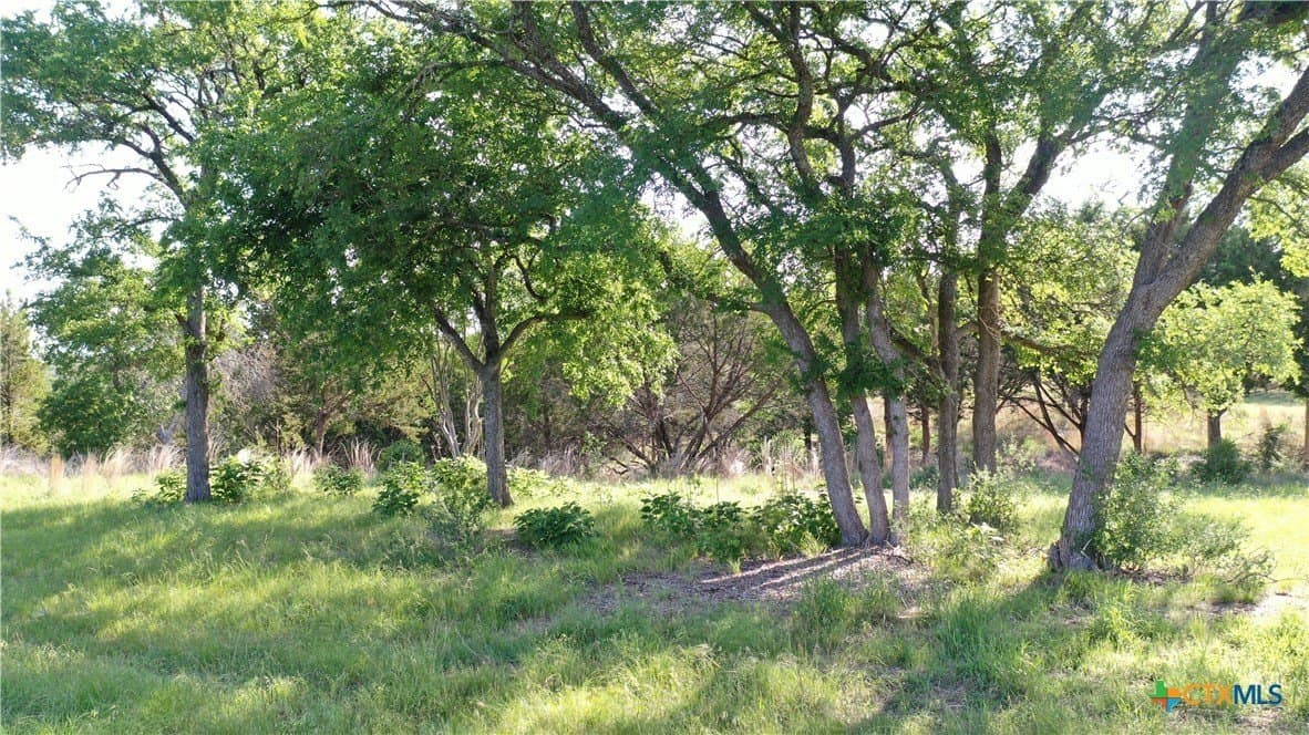 8.96 acres in Bell County - photo 5