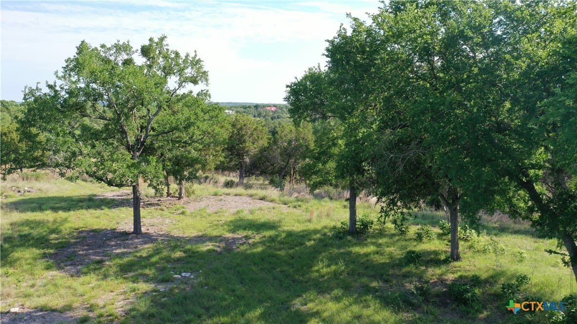 8.96 acres in Bell County - photo 4