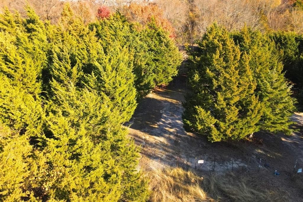 0.12 acres in Collin County - photo 11