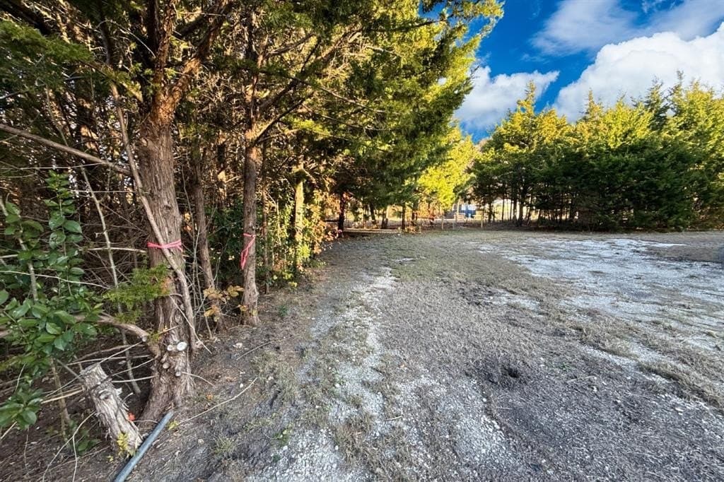 0.12 acres in Collin County - photo 4
