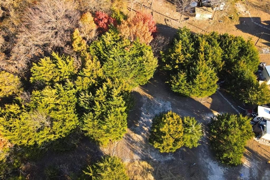 0.12 acres in Collin County - photo 12