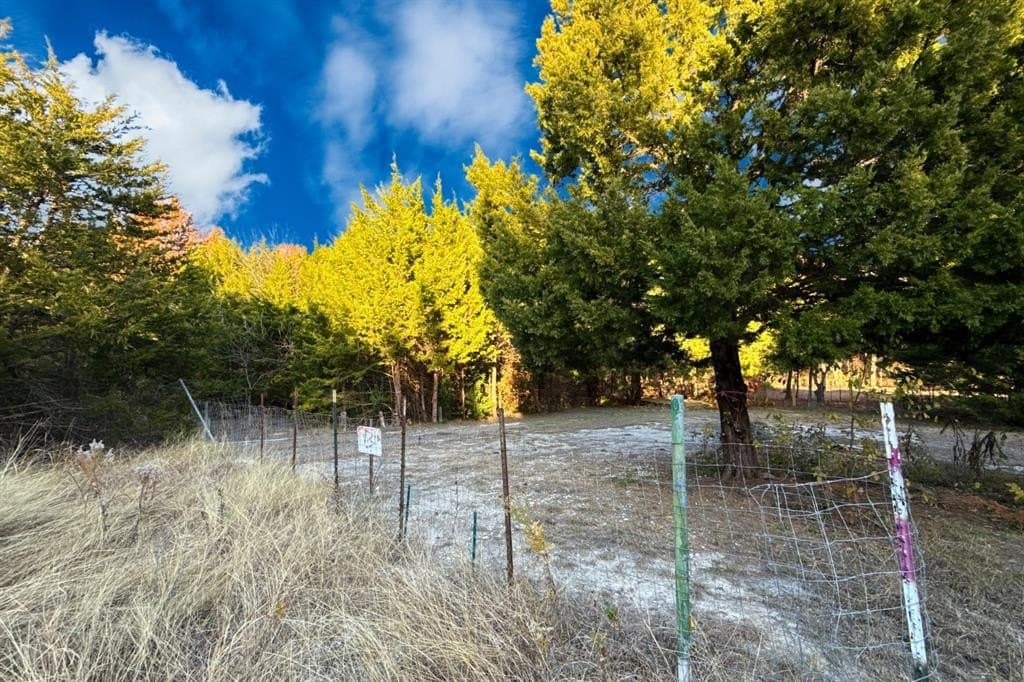 0.12 acres in Collin County - photo 2