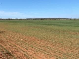 30 acres in Taylor County - photo 6