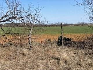 30 acres in Taylor County - photo 3