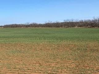 30 acres in Taylor County - photo 7
